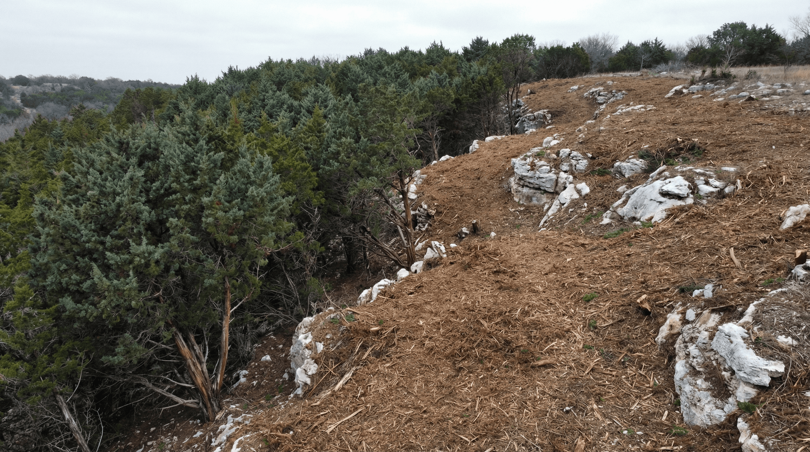 Cedar & Mesquite Removal in Parker County, Texas