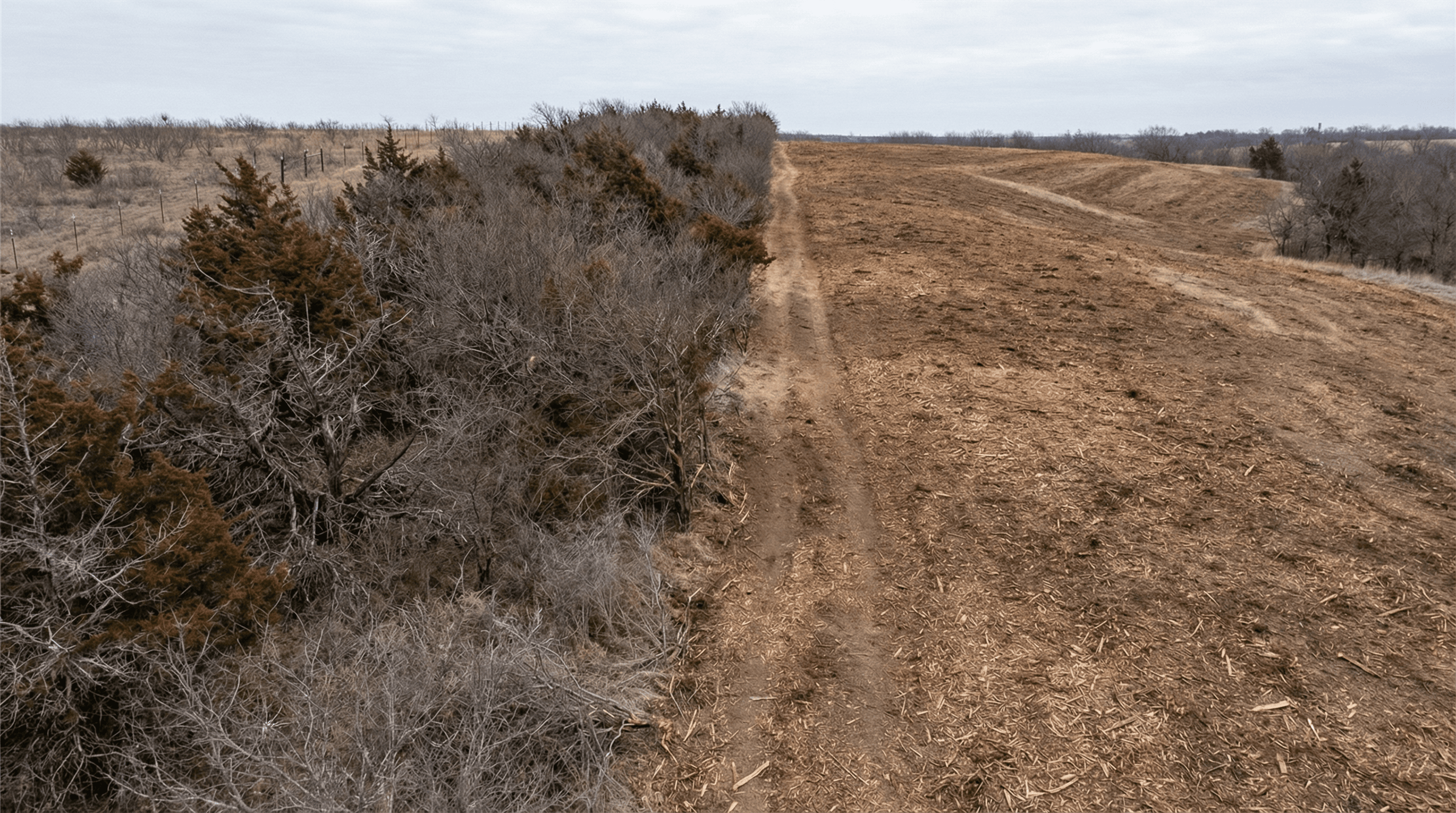 Forestry Mulching in Parker County, Texas